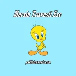 Mersin Travesti Esc