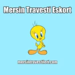 Mersin Travesti Eskort