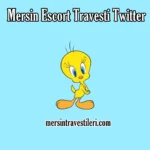 Mersin Escort Travesti Twitter