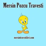 Mersin Pozcu Travesti