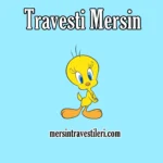 Travesti Mersin