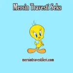 Mersin Travesti Seks